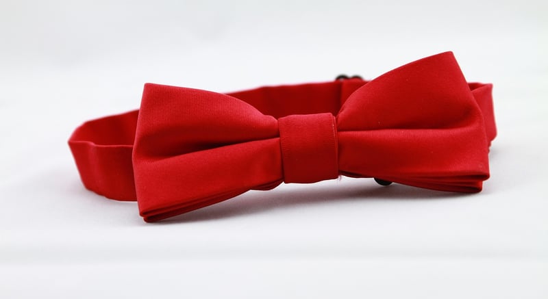 Groom in formal attire